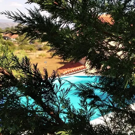 Ferienhaus Lugar Dos Vales-memoravel, Encantador E Autentico!