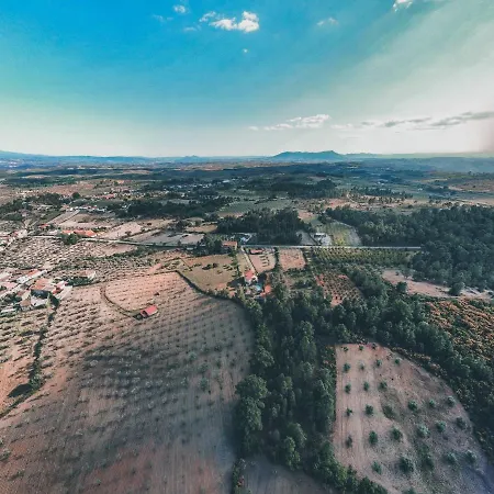 Lugar Dos Vales-memoravel, Encantador E Autentico! 別荘
